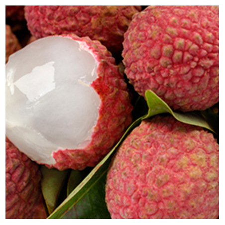 Aroma Lychee