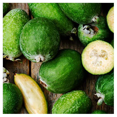 Aroma Feijoa
