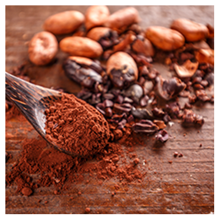 Aroma Cacao