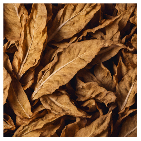 Aroma Tabacco Morbido