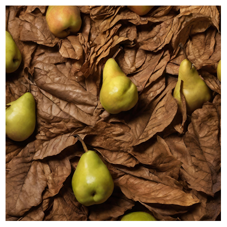 Aroma Tabacco e Pera