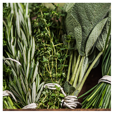 Aroma Erbe Aromatiche Naturale